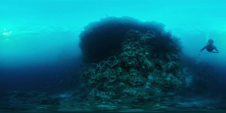 360VR underwater footage of the freediver swimming near the coral reef wall in the tropical sea in West Papua, Indonesia