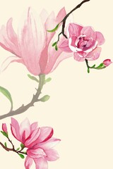 magnolia Pink and white flowers bloom in a beautiful garden, showcasing the magnolia blossom in full summer bloom watercolor hand drawn drawing