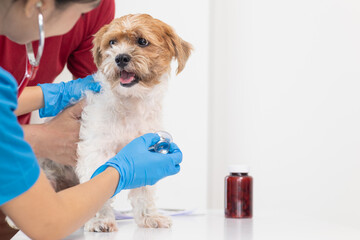 Veterinarians are performing annual check ups on dogs to look for possible illnesses and treat them...