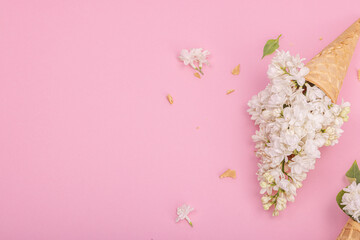 White lilac flowers in waffle ice cream cones on pink background. Flat lay, spring concept