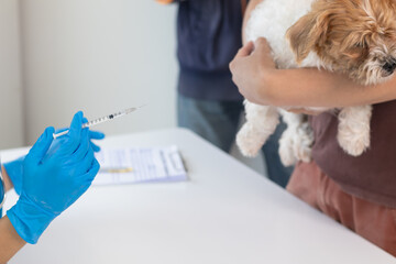 veterinarian is vaccinated for puppy To prevent communicable diseases after veterinarian has made...