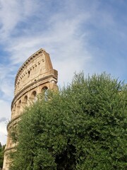 Rome Coliseum (Coliseo)