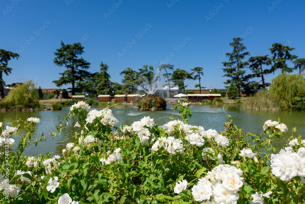 Wall mural florence, italy - june 28, 2023: park giardino della fortezza