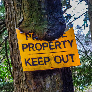 Yellow private property keep out sign buried in a tree