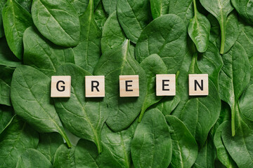 The word green is displayed in wooden blocks on spinach leaves