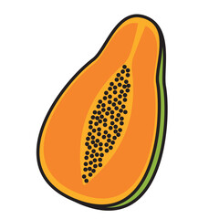 Colored papaya fruit icon Vector