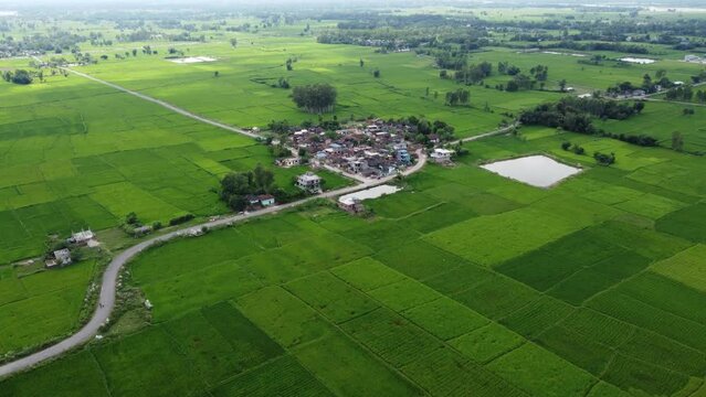 A Local Village In Mahottari District  Nepal. Beautiful Village in Nepal 4k. traditional village in Nepal. Nepal terai. Terai area in Nepal. landscape of the authentic village and  lifestyles 4K.