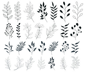 Vector floral wreath Plant branch with green
garden leaves floral vector silhouettes background floral illustration