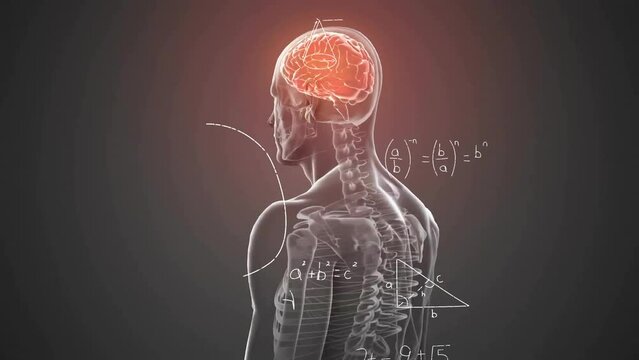 Animation of mathematical equations over digital human model on black background