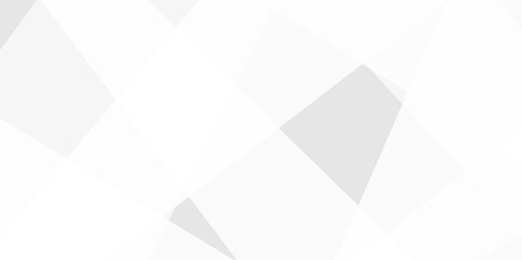 bstract background with white and gray and geometric style with simple lines and corners, polygons as background geometric style with simple lines and corners, polygons as background paper texture	