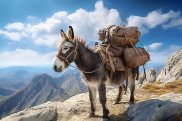 Tuinposter donkey in the mountains © Rizwan