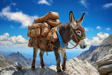 Muurstickers donkey in the desert © Rizwan