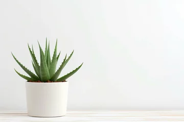 Crédence de cuisine en verre imprimé Cactus cactus in a vase