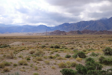 Naklejka premium landscape view in the region of Issyk-Kul Lake near the Orto Tokoy reservoir, Kyrgyzstan