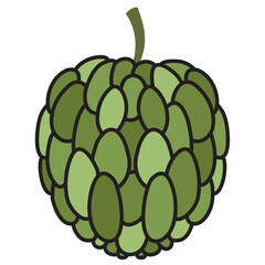 Colored anon fruit icon Vector