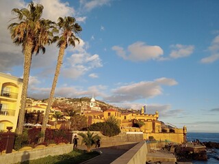 Seaside castle with palm trees