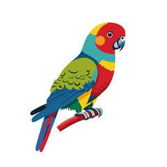 red and yellow macaw