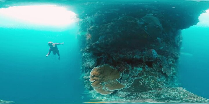 360VR underwater footage of the freediver swimming near the coral reef wall in the tropical sea in West Papua, Indonesia