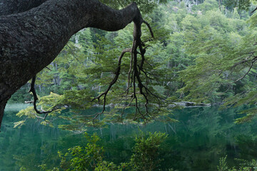 Magic River Patagonia