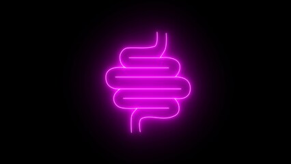 Human body internal organs. Human anatomy concept. Neon glowing gut human icon. pink Neon healthy digestion logo on black background, healthy digestive system sticker. Intestines line icon.