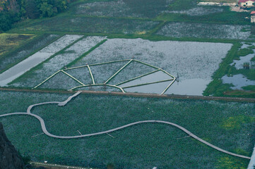 Sunset Views of of Dam sen Hang Mua in Northern Vietnam Overlooking the Ninh Binh Region of rice fields.  © Chris