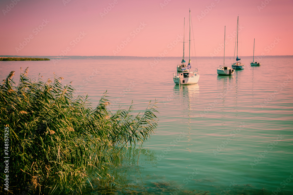 Canvas Prints Sailing boats in the lake during sunset. Balaton Lake Hungary Europe