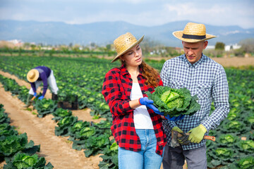 Couple of workers man and woman standing on plantation and discussing work process at farm on sunny day