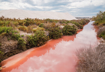 Salins d’Aigues-Mortes, Camargue, France. Europe's largest salt marshes Salin-de-Giraud, sea salt production. Pink salt marshes.
