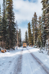 School bus driving on snow covered road in pine forest at national park