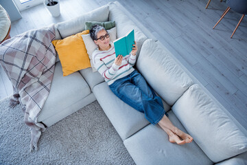 Above view full length portrait of peaceful person lying sofa read book spend free time modern flat...