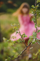 Close up photo of branch of an apple tree on a playing little girl in tulle pink dresse background. Summertime. Wallpaper
