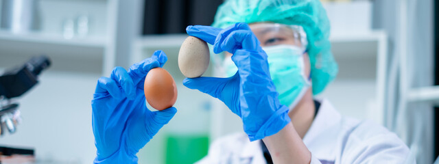 Scientist or nutritionist is holding eggs in and looking to test and check the quality of shell,...
