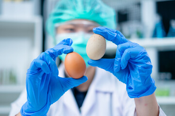 Scientist or nutritionist is holding eggs in and looking to test and check the quality of shell,...