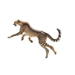 Cheetah Jump transparent PNG 