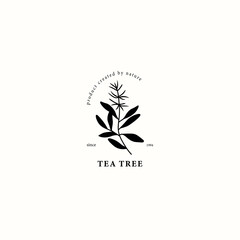 Obraz premium Flat vector tea tree drawing