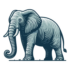 Fototapeta premium Elephant full body vector illustration, zoology illustration, African safari wild animal design template isolated on white background