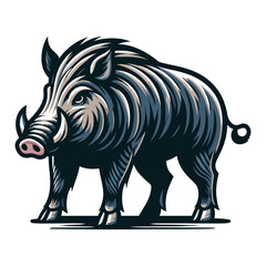 Fototapeta premium Wild hog boar pig full body design vector illustration, beast animal wildlife template isolated on white background