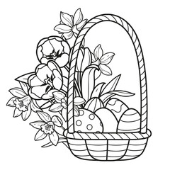 Basket  full of painted Easter eggs with tulip and narcissus flowers outlined for coloring on a white background