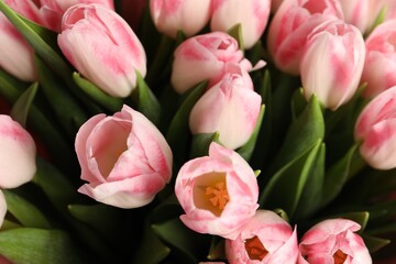 Obraz premium Beautiful bouquet of fresh pink tulips, closeup
