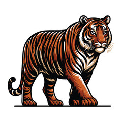 Obraz premium Wild tiger full body vector illustration, zoology illustration, animal predator big cat design template isolated on white background