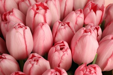 Bouquet of beautiful pink tulips as background, closeup