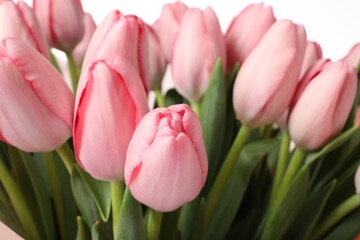 Obraz premium Bouquet of beautiful pink tulips on white background, closeup