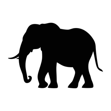
Elephant silhouette, Hand Drawn Silhouette of African and Indian elephant, Vector illustration