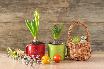 Happy easter holidays concept; Two mugs with young hyacinth flowers, wicker basket with easter eggs on a wooden background