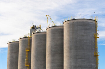 Row of large concrete grain silos with yellow ladders and platforms, used for agricultural storage and industrial processing, set against a bright sky with scattered clouds
