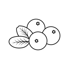 berries icon vector illustration eps