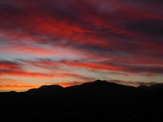 Obraz premium OLYMPUS DIGITAL CAMERA