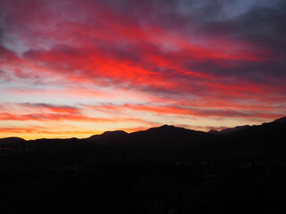 Obraz premium OLYMPUS DIGITAL CAMERA