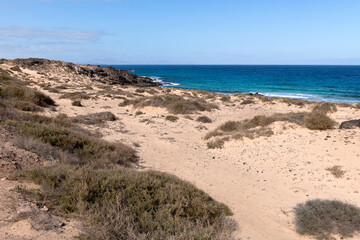 Fototapeta na wymiar Beach and sand dunes at Corralejo, Fuerteventura, Canary islands