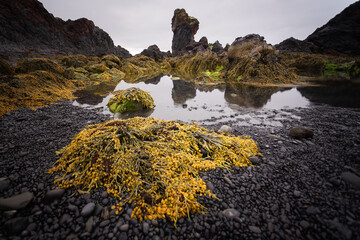 Beautiful Landscapes and Seascapes of Iceland